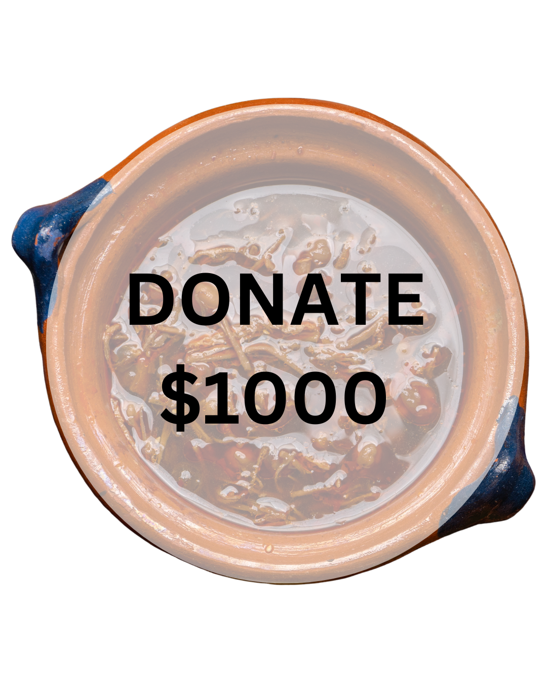 Donate 1000 - Feed a Family for 1 Month